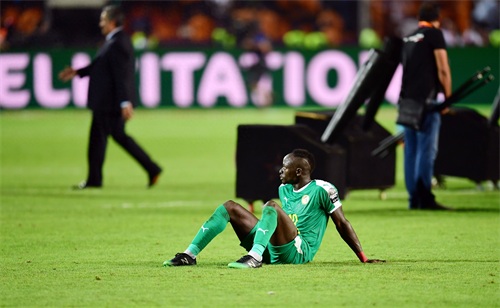 足球——非洲杯：阿尔及利亚夺冠