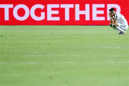 足球——非洲杯：阿尔及利亚夺冠