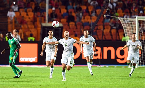 足球——非洲杯：阿尔及利亚夺冠