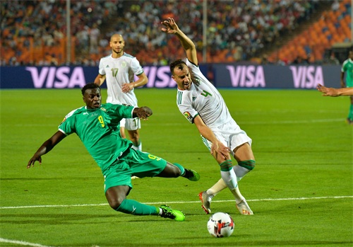 足球——非洲杯：阿尔及利亚夺冠