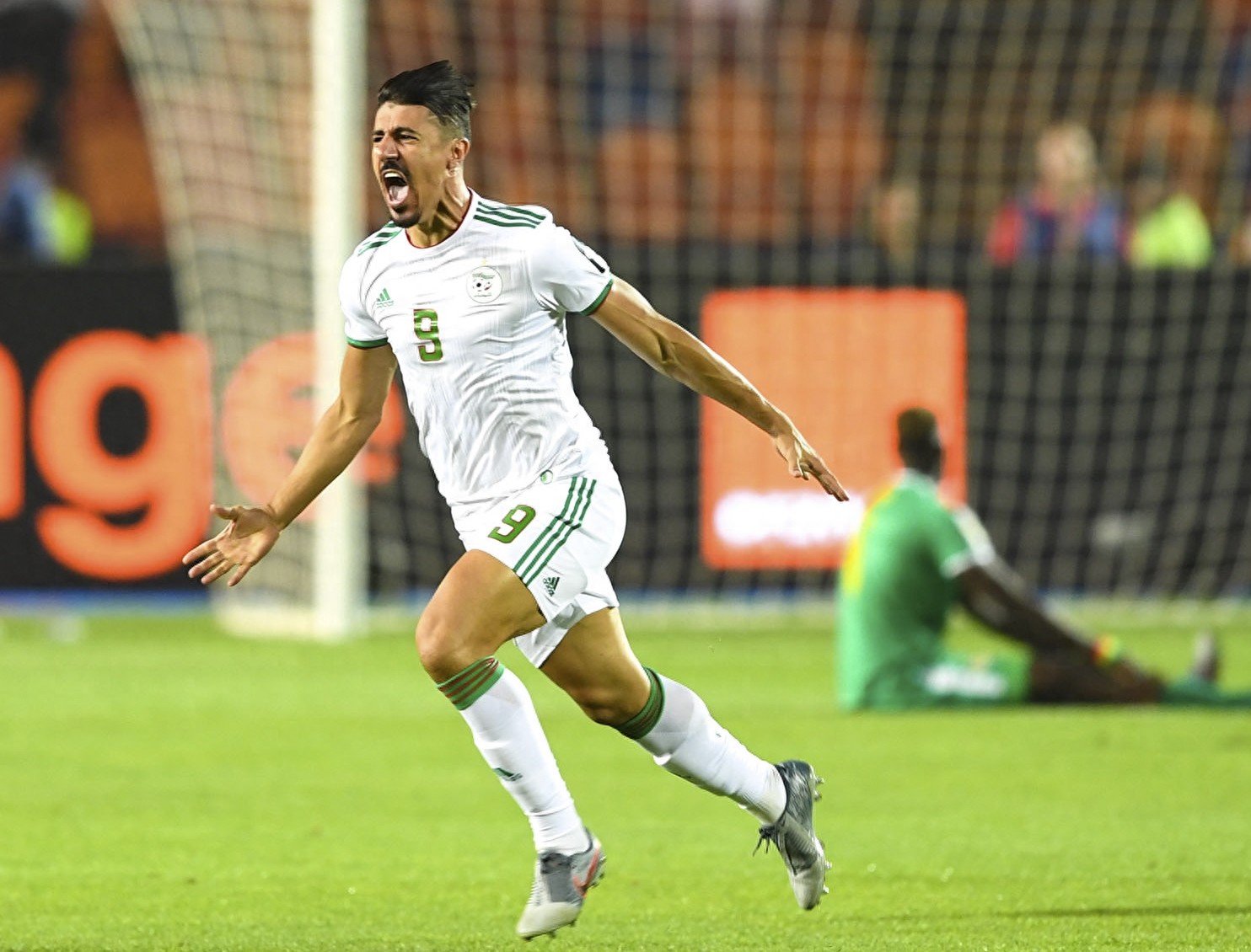 足球——非洲杯：阿尔及利亚夺冠