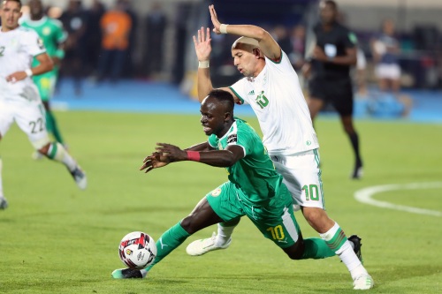 足球——非洲杯：阿尔及利亚夺冠