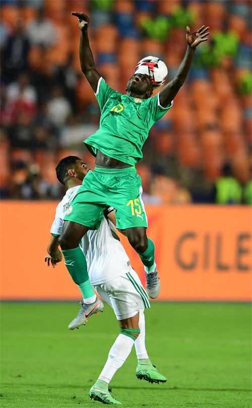 足球——非洲杯：阿尔及利亚夺冠