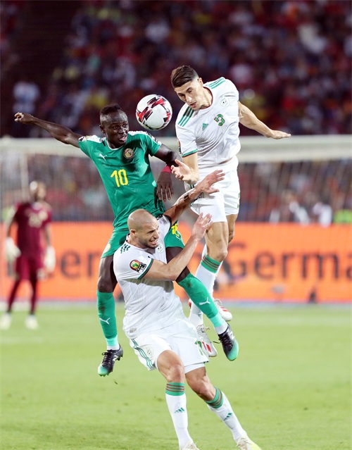 足球——非洲杯：阿尔及利亚夺冠