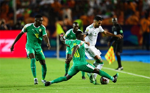 足球——非洲杯：阿尔及利亚夺冠