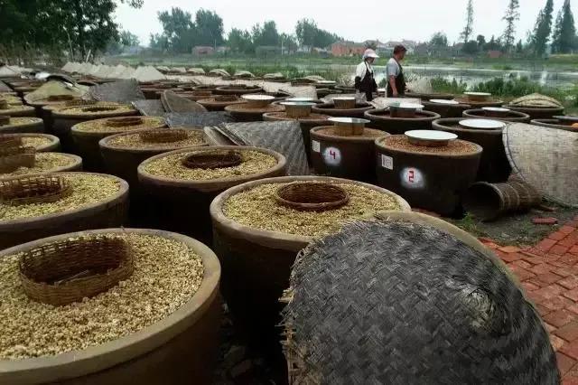 中国酱油排名前十(国内最好的十大放心酱油品牌名单)-图14 中国酱油排名前十(国内最好的十大放心酱油品牌名单)-图14