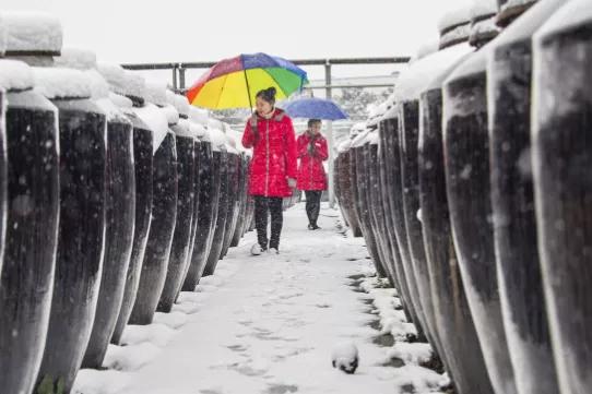 中国酱油排名前十(国内最好的十大放心酱油品牌名单)-图1 中国酱油排名前十(国内最好的十大放心酱油品牌名单)-图1