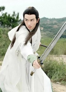 ​说墨玉飞蝗石