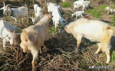 ​大年初四，记住5大禁忌，龙年想不发财都难!