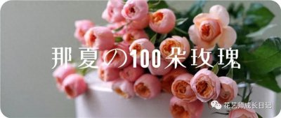 ​100朵玫瑰vol1：薰衣草玫瑰，淡紫色，小花型，气质冷艳