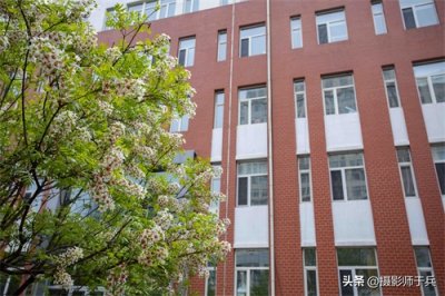 ​文冠果，植物界的“文韵之冠”