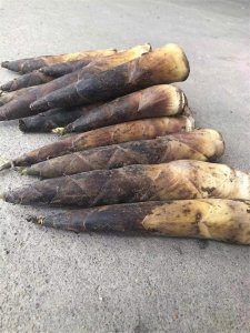 ​天目山的雷笋怎么炒，这几种方法喜欢的话记得收藏