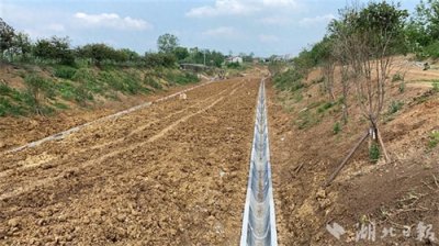 ​吴岭水库加快推进生态渠系建设