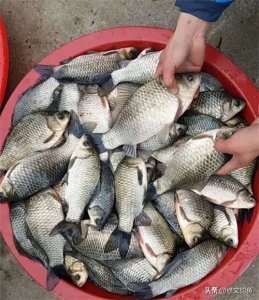 ​冬季野钓选钓位你就遵循这几点，鱼获一般差不了，快收藏