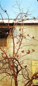 ​新的一年，给自己定个“小目标”