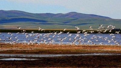 ​中蒙边境的贝尔湖，经多轮谈判，为何只有7％属于中国的中蒙界湖