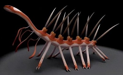 ​背负怪诞两字的生物——怪诞虫