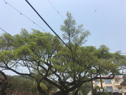 福建省 漳州市 长泰县 十里蓝山