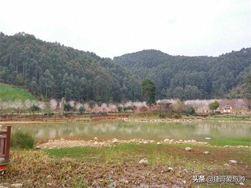 福建省 漳州市 长泰县 十里蓝山