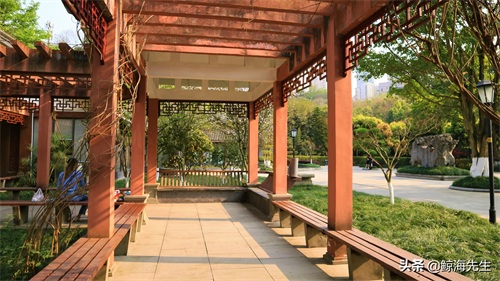 周末好去处——龙头寺公园，这迷人的春景有没有诱惑到你