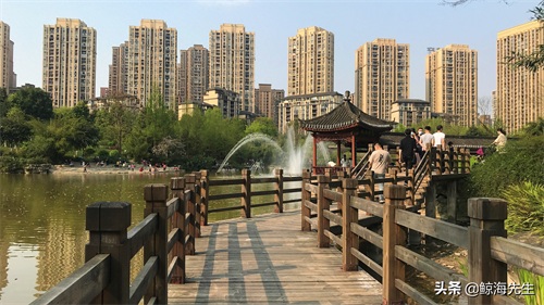 周末好去处——龙头寺公园，这迷人的春景有没有诱惑到你