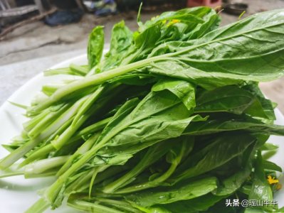 ​告诉你一个小白菜苔超好吃的做法，嫩滑爽脆，吃了还想吃！