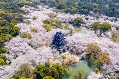 ​无锡一日游旅游攻略
