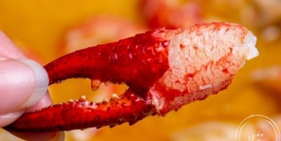 ​小龙虾的钳子能吃吗，加拿大龙虾钳子里的肉能吃吗？