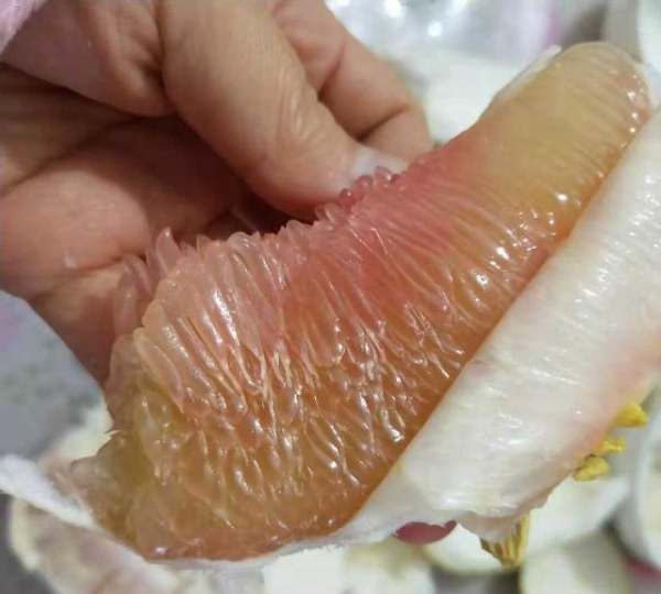 烫过的玉米面还能发酵,玉米面烫熟了再发酵蒸出来的馒头能蓬松吗图4