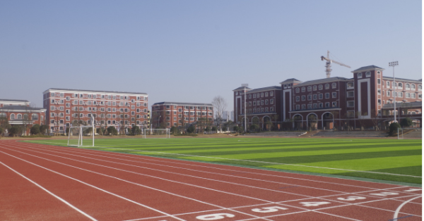 内卷严重是什么意思,内卷严重是什么意思?图2