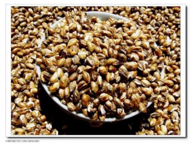 ​青稞木是什么东西？青稞玉米是什么东西