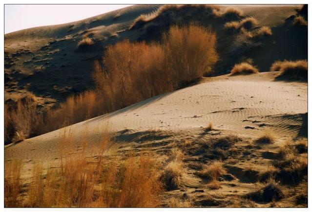 中国8大沙漠,总面积130万平方公里,2处位于新疆,3处位于内蒙!