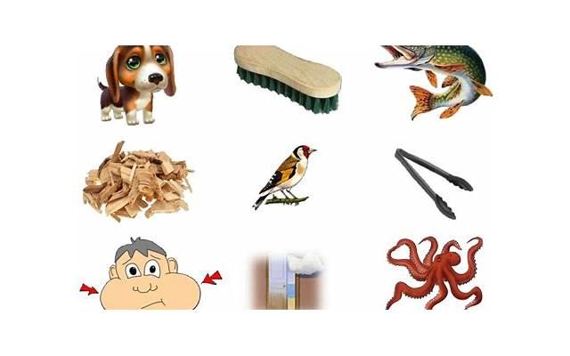 阴jing短小的男人怎么爱爱 男性命根保养法有哪些