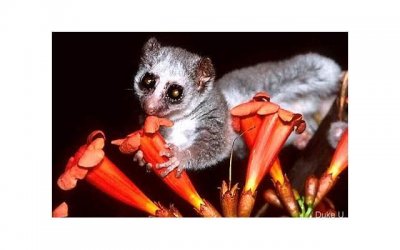 ​男友消失了，该怎么办？介绍男人消失的真正原因