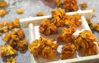 ​金耳的功效与作用，金耳和银耳的区别是什么？