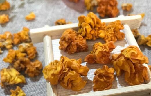 金耳和银耳的区别是什么