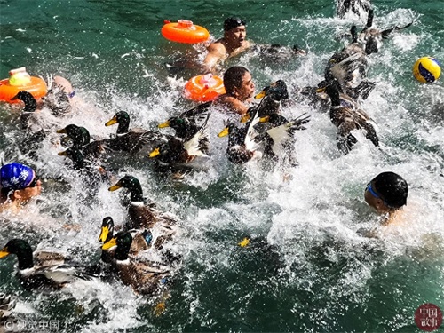 每日纪实精选：重庆一天桥现“空中公厕” 露天如厕不分男女