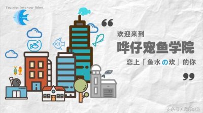 ​鱼缸增氧泵的使用方法（分享鱼缸增氧泵的正确使用姿势）