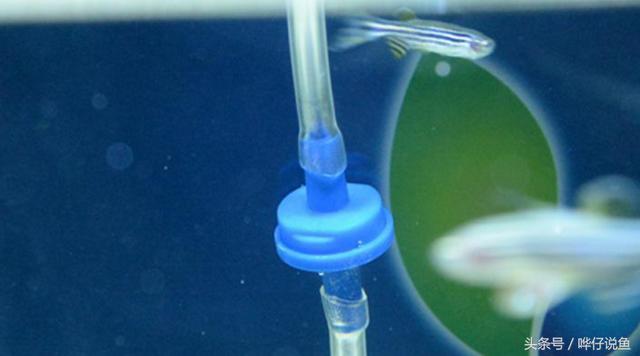 鱼缸增氧泵的使用方法（分享鱼缸增氧泵的正确使用姿势）(4)