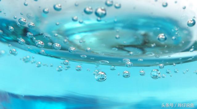 鱼缸增氧泵的使用方法（分享鱼缸增氧泵的正确使用姿势）(3)