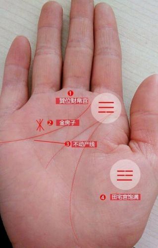 越老越有钱的手相都有这特点么？越老越有钱的生肖女有哪些-第1张图片-