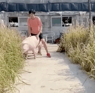 张国伟个人资料简介（从跳高运动员到段子手）