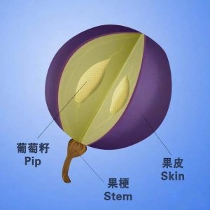 ​葡萄酒中单宁有用么(葡萄酒单宁高好还是低好)