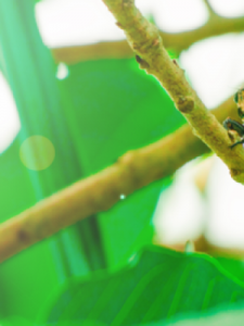 什么的鱼(什么的鱼塘)