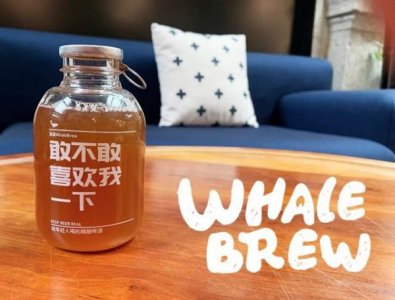 ​玻璃瓶啤酒尺寸标准尺寸(玻璃啤酒瓶的尺寸)