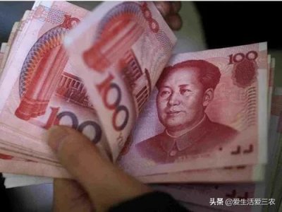 ​农村养殖什么不愁销路6个养殖项目（不想打工的农村人来看看）