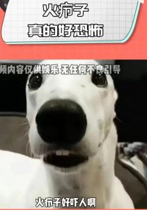 ​笑死了！火疖子真的很恐怖吗？网友：太磨人了！