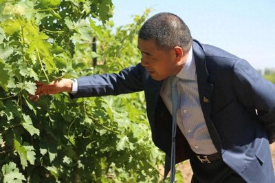 ​狂砸16亿，他究竟为了啥？贺兰神的传奇与爱国情怀