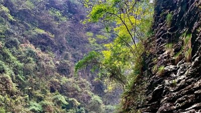 受不了了！中国男人娶了蒙古国女人之后为啥都这样说？