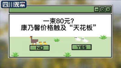 ​一束80元？康乃馨价格触及“天花板”